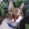 miguel_santos21