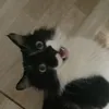 clrasl