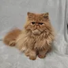 userajw5vyjnjp