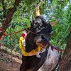 karthi