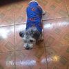 maty_toby1234