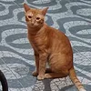 user3814592203136