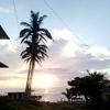 laurita_2011_