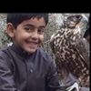 a2qw5