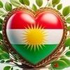 sardam1244