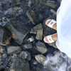 abcdull_11
