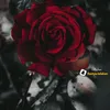 dinm_eslama09