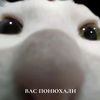 blurka_official