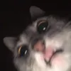user0000290125