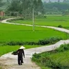 nhat_nam163