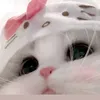 hudjdjdbb