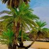 ahmed41896436gomil.com1