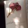 nosha_as3