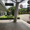 longconuong3