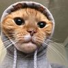 pttalengge