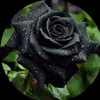 angle_huong