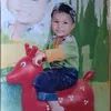dtrinhdz108207
