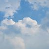 bowob_0312