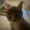 тут, на связи
