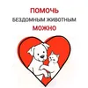 ne_volonter_help_animals