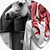 user8a9wbyns7l