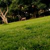 theadvocateofgoodness1