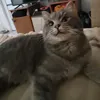 dapoebatmhe
