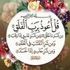 ahmedibrahim5310
