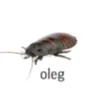 tarakanchik_oleg