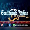 sentimientoandino.rioec