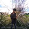 noyonmiah876