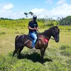 rodrigodossant1326