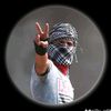 ibrahim11065