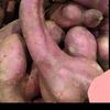 .rodriigg