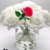 gratitud35