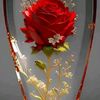 user1245627711983