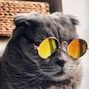 adamkucing12334wg