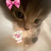 𝒵𝒶𝒽𝓇𝒶𝒶 💘🧚🏻‍♀️