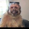 carlosgomezmendizaba1