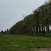 holland910