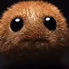 kiwi_fan_