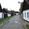 Csongrádi utazó