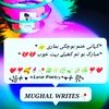 mughalwrites344