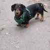 mummymahem