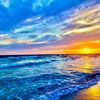 xthan_3494