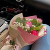 wis_sam013