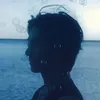 sash_plt