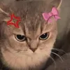 blshrjd