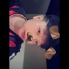 hoangdz359