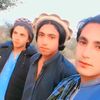 m_rahman491